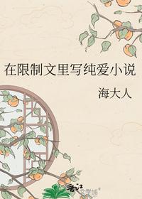 在限制文里写纯爱小说